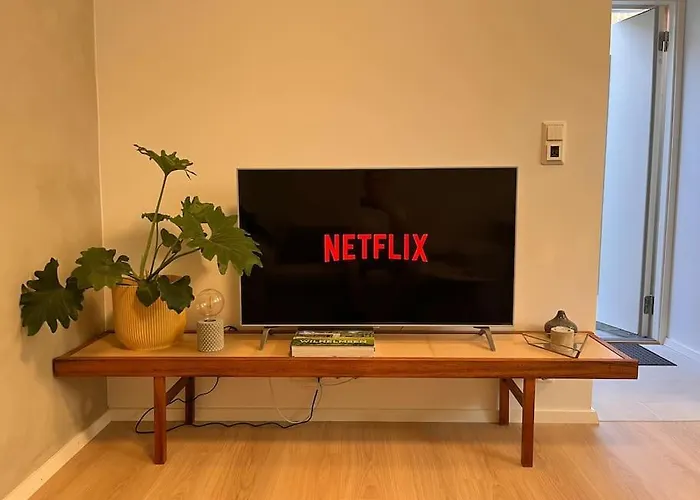 Newly Renovated Trondheim Apartment
