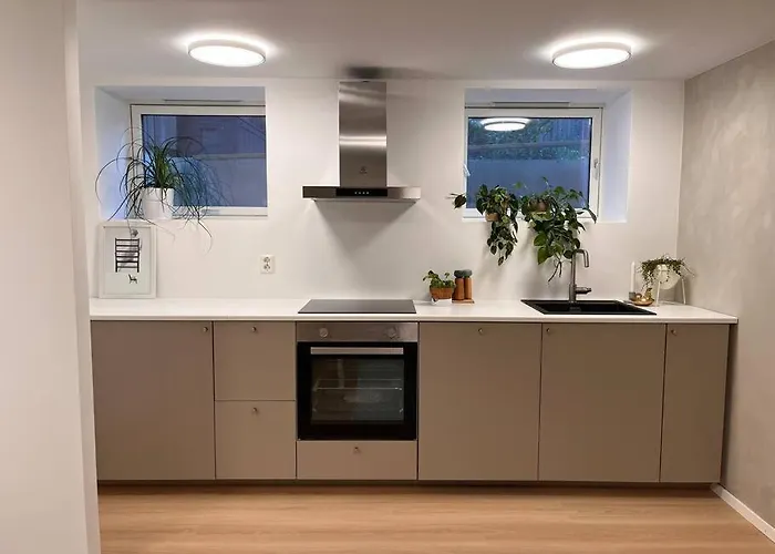 Newly Renovated Trondheim Apartment