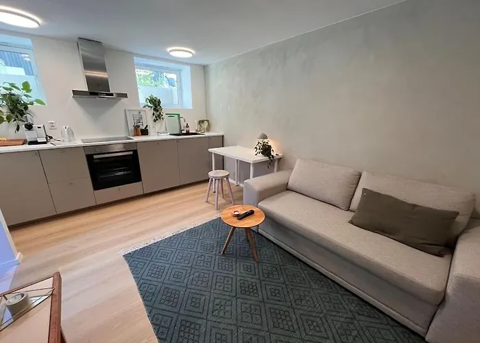 Newly Renovated Trondheim Apartment